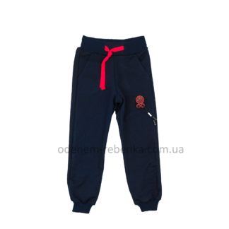 Спортивні штани