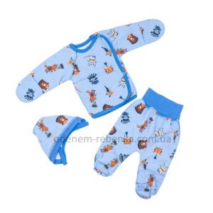 Комплект одягу для новонароджених та немовлят в пологовий будинок, комплект в роддом на выписку